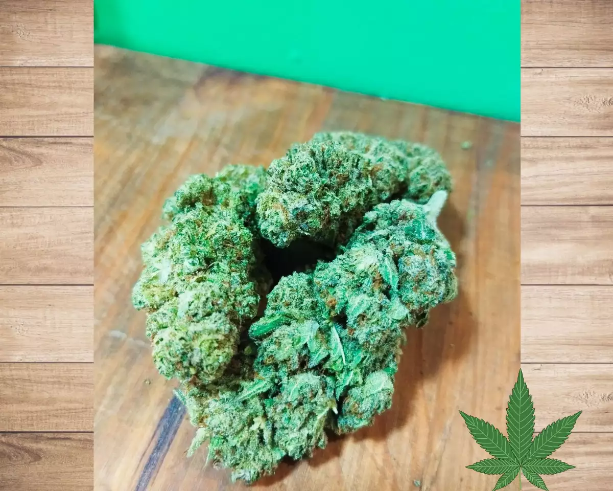 ROYAL GORILLA