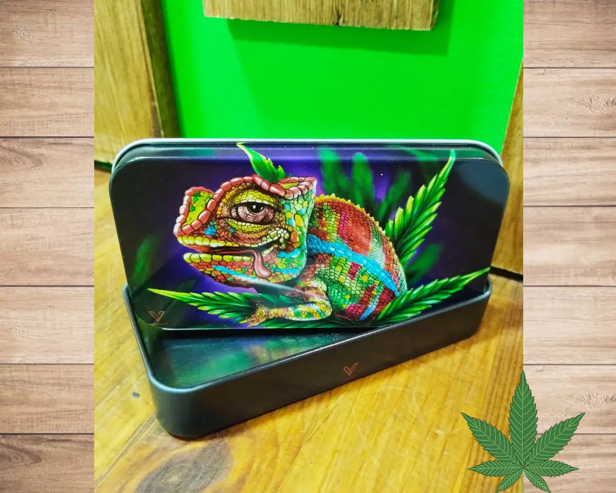 Boîte Métal Einstein, 420 RASTA ou CAMELEON