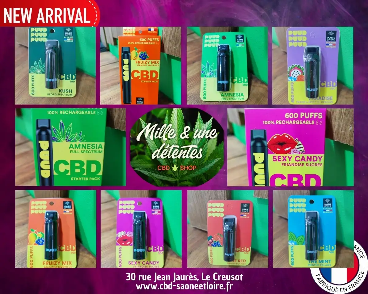 RECHARGE PUDD 600 Puffs