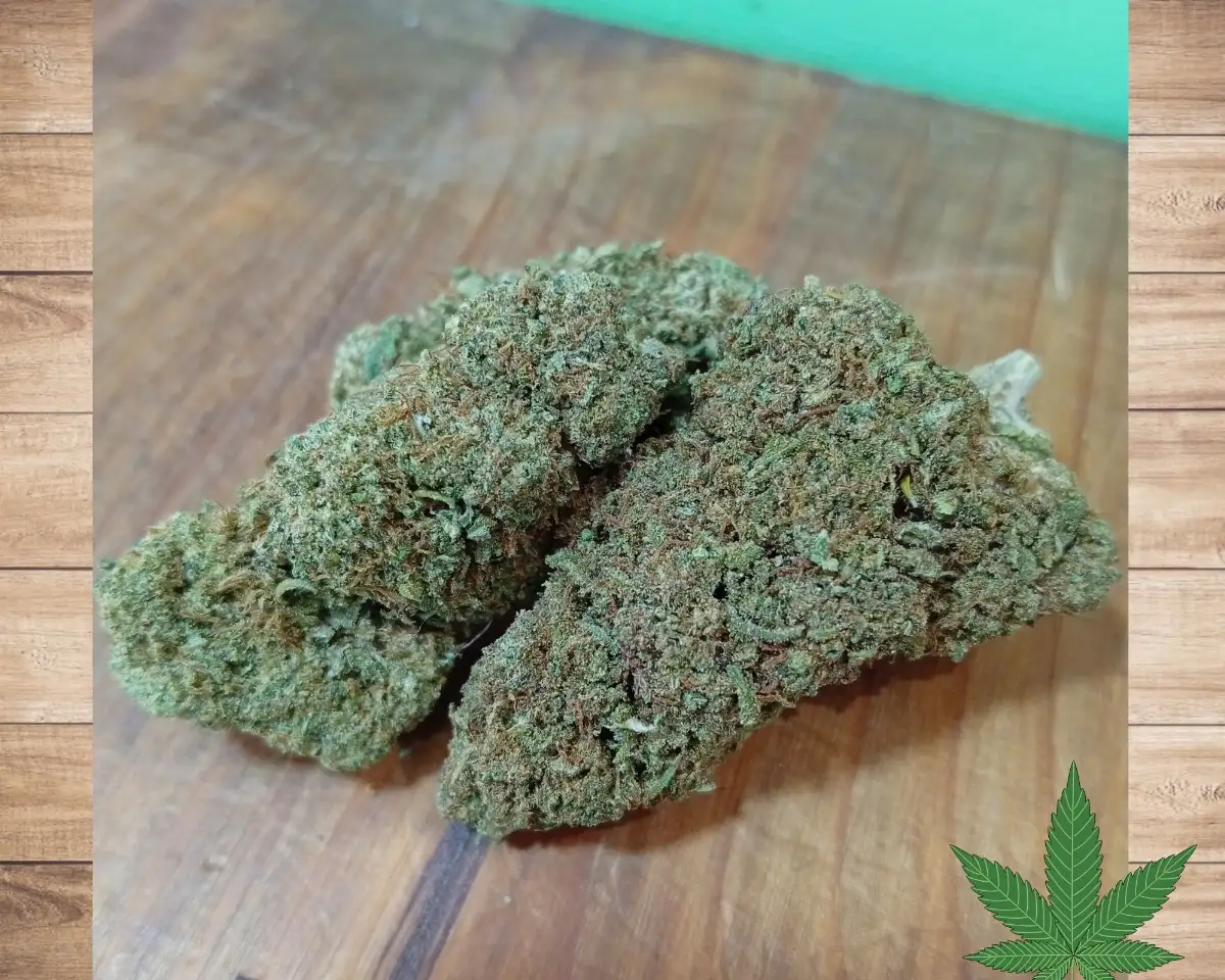 FANTA FLEUR CBD HYBRIDE (Indica et Sativa)