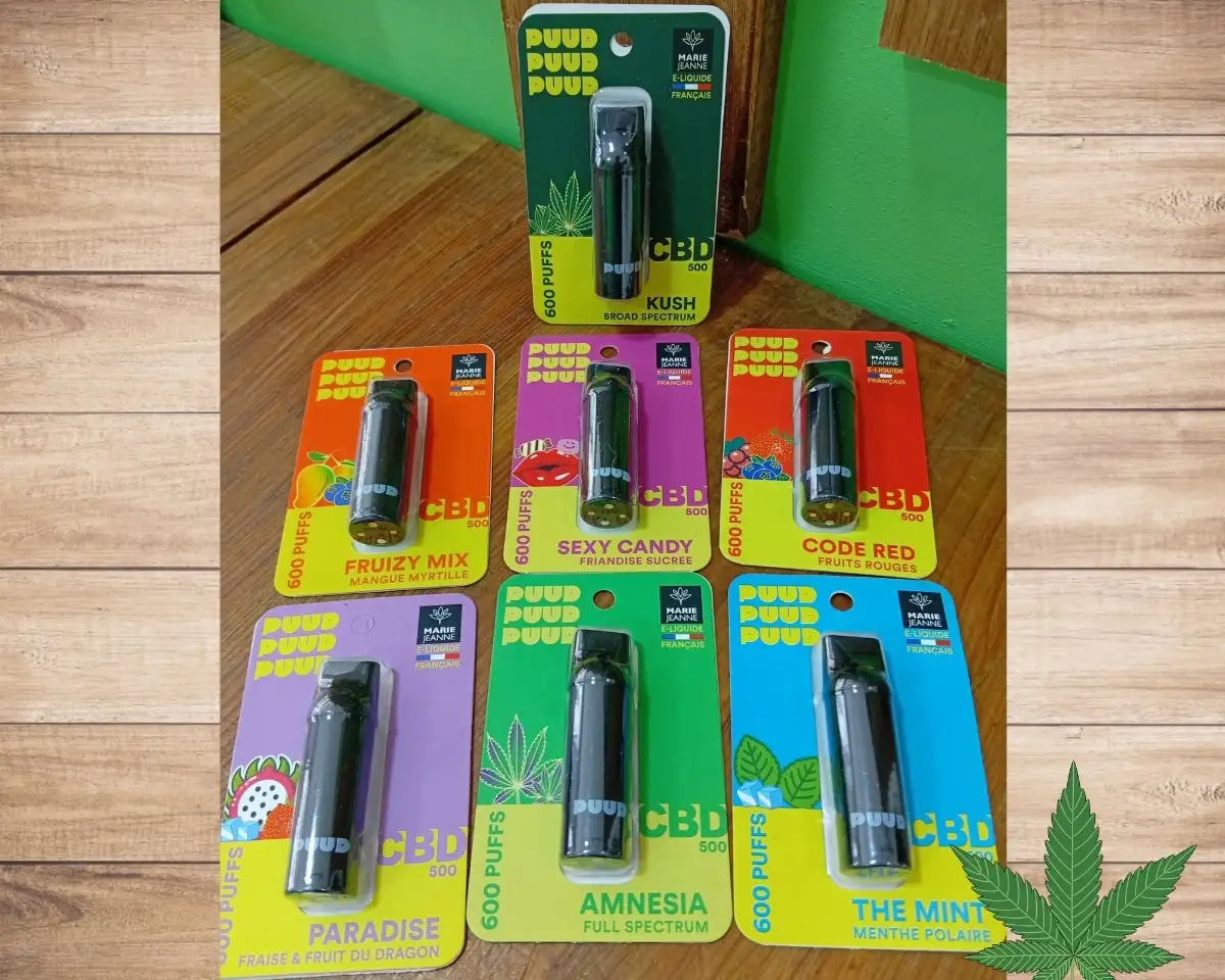 RECHARGE PUDD 600 Puffs