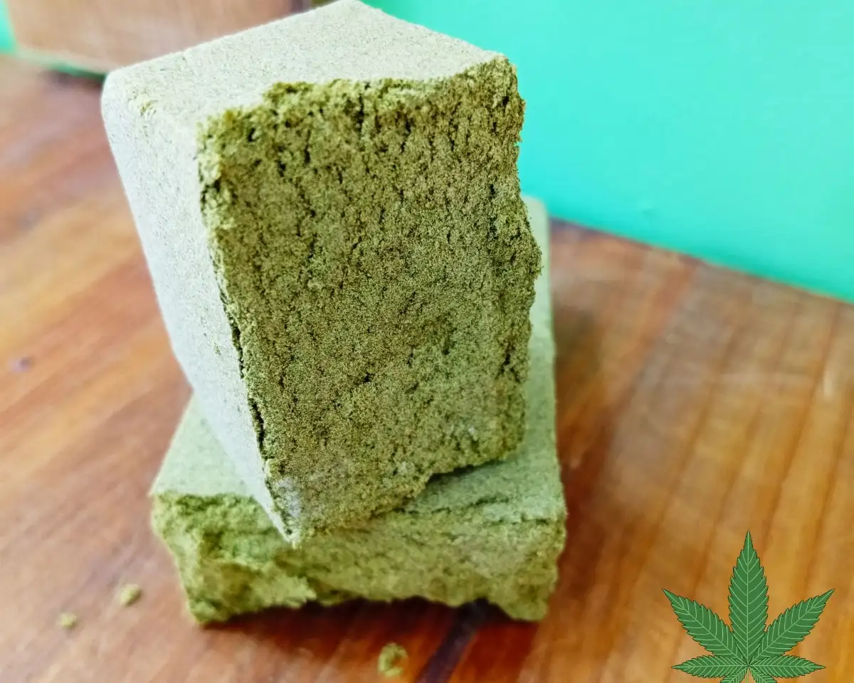 POLLEN ORANGE FRITTER