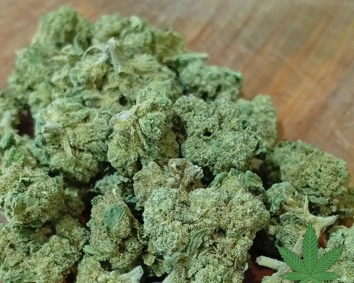 FRUITY KUSH POP